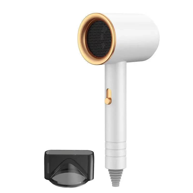 Professional Negative Ion Hair Dryer